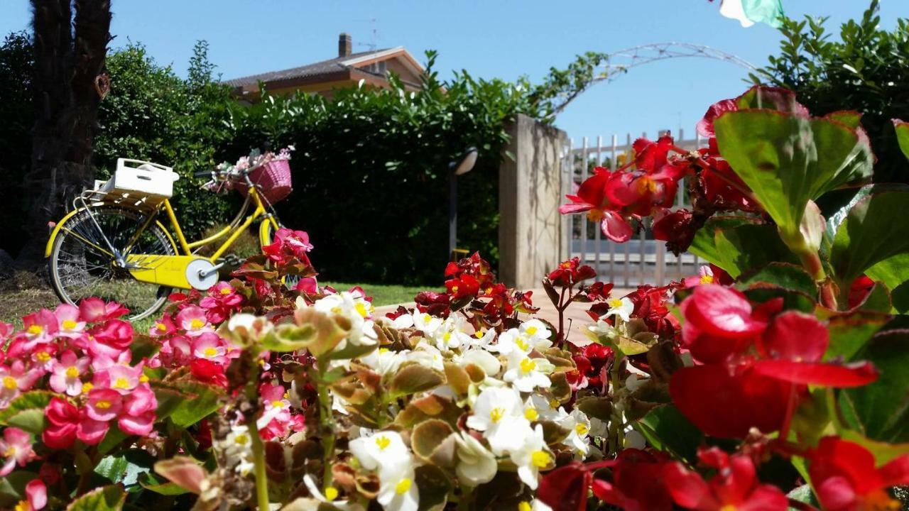 Home Denise E Luca Latina Exterior photo